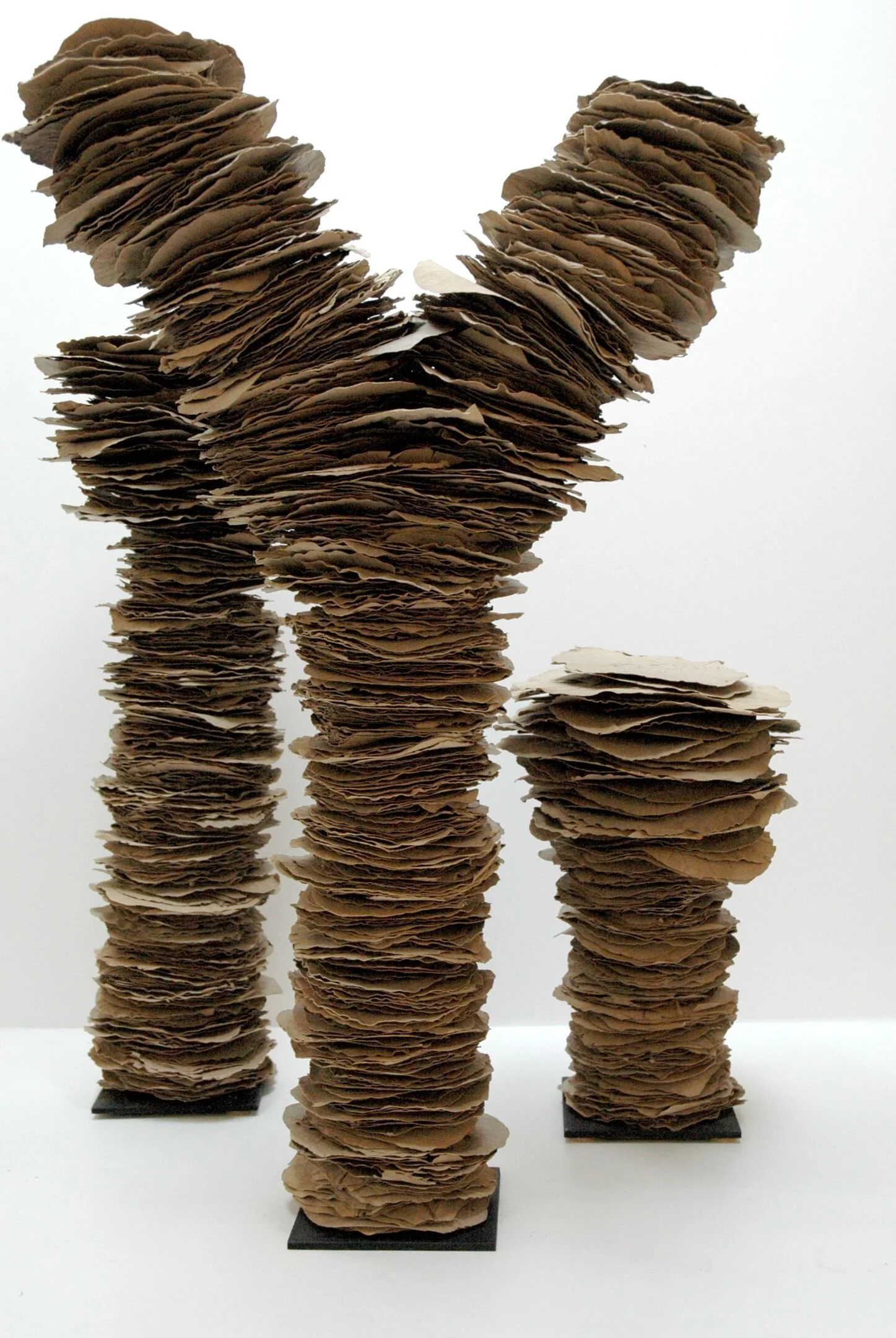 leaf stacks