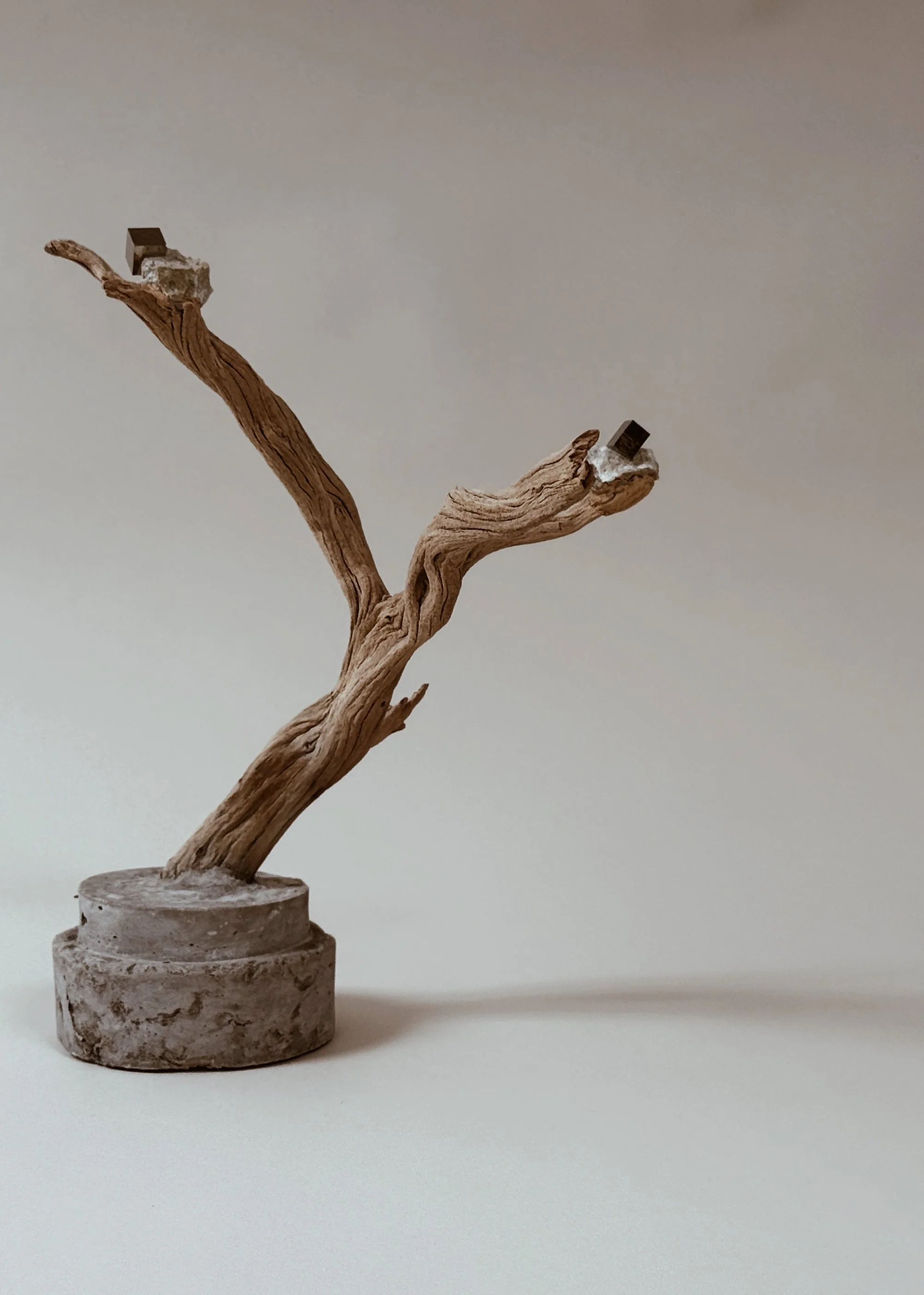Side view of OG Krislyn Tree in Pyrite by Kept LA showing  dramatically curved fire-cleared wood form with pyrite details  and hand-cast concrete base
