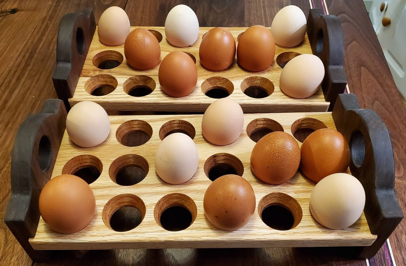 616801694_887685644127288_8103031424729347121_n.jpg