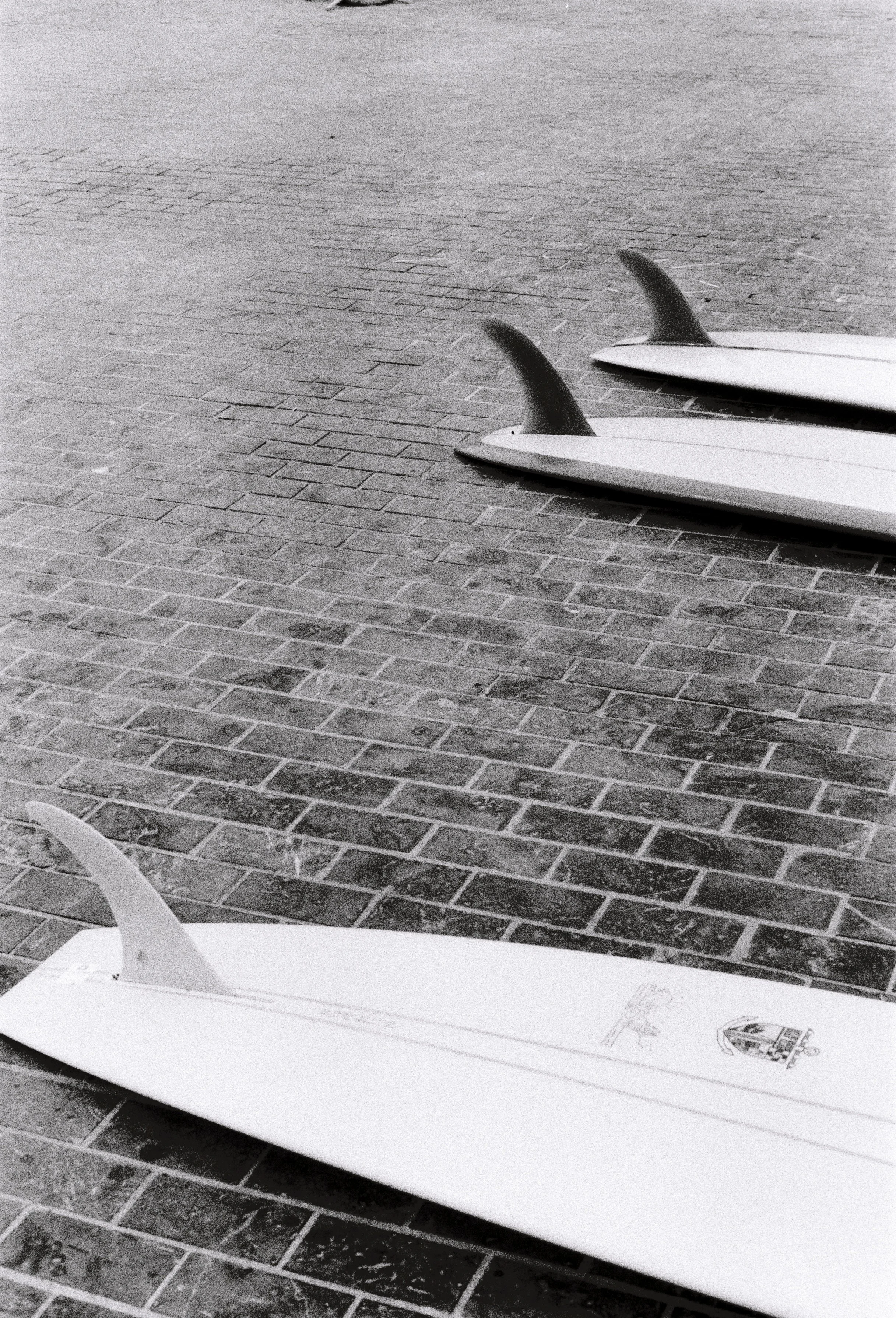 R1-02593-0030.JPG
