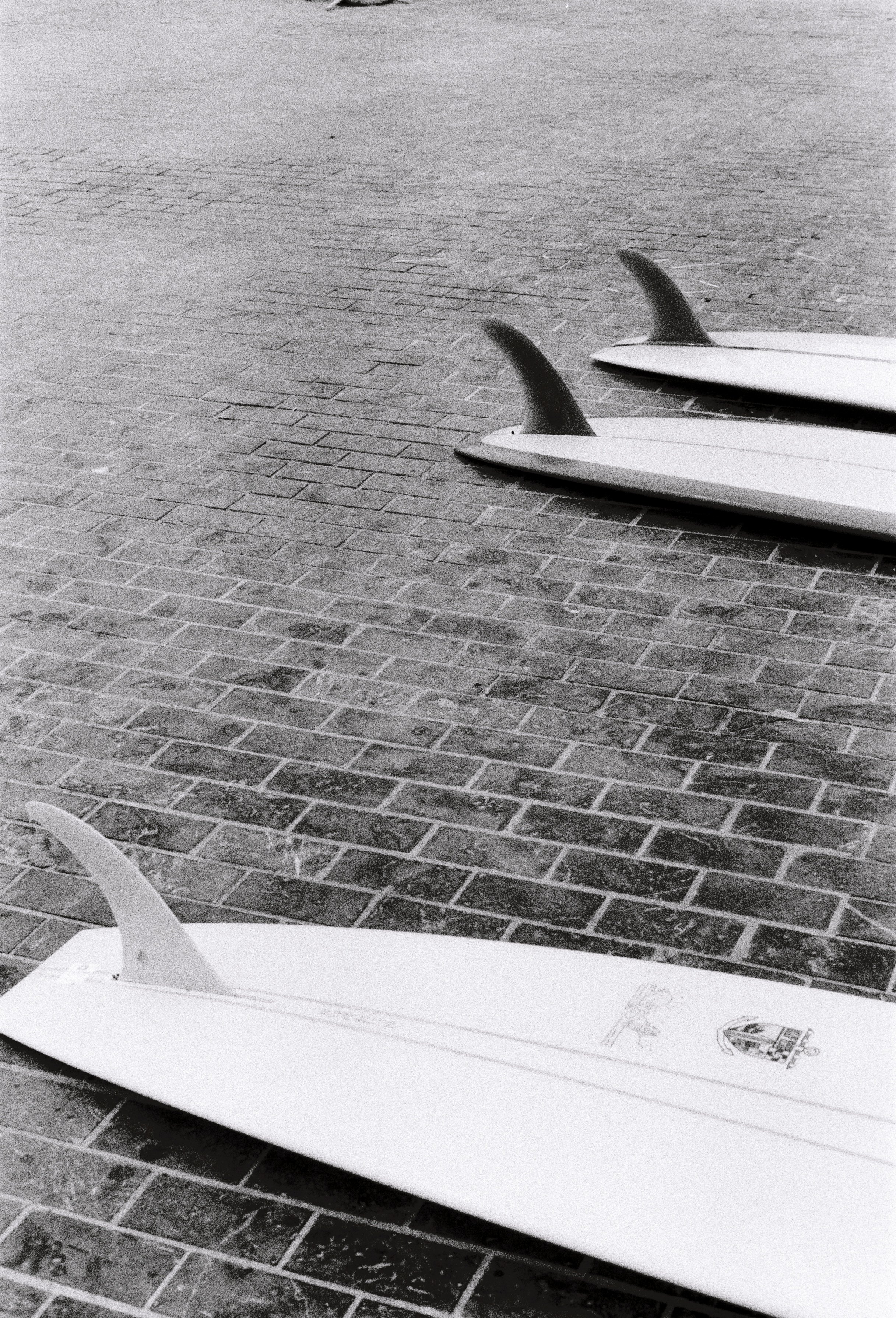 R1-02593-0030.JPG