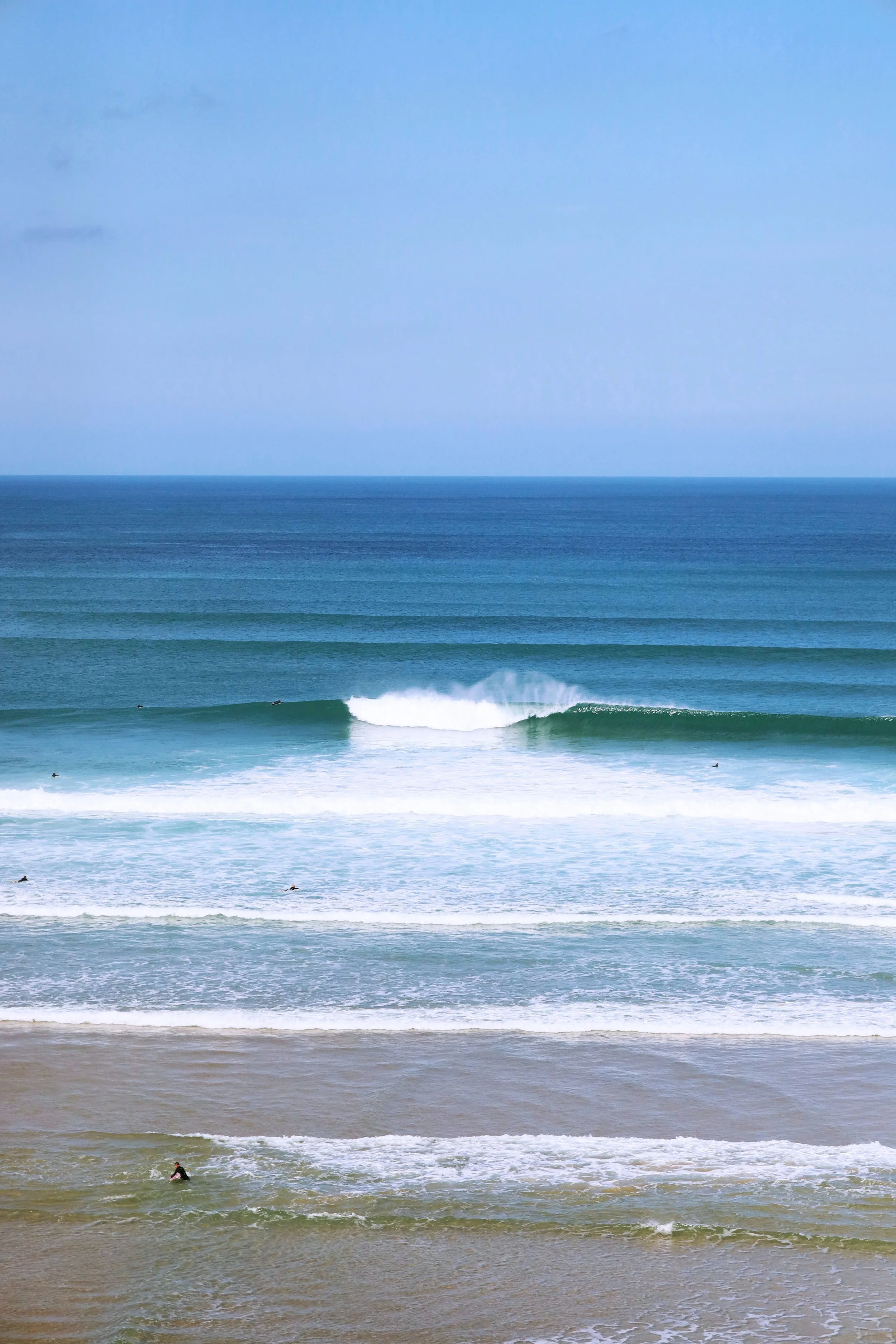 Surf & Skate