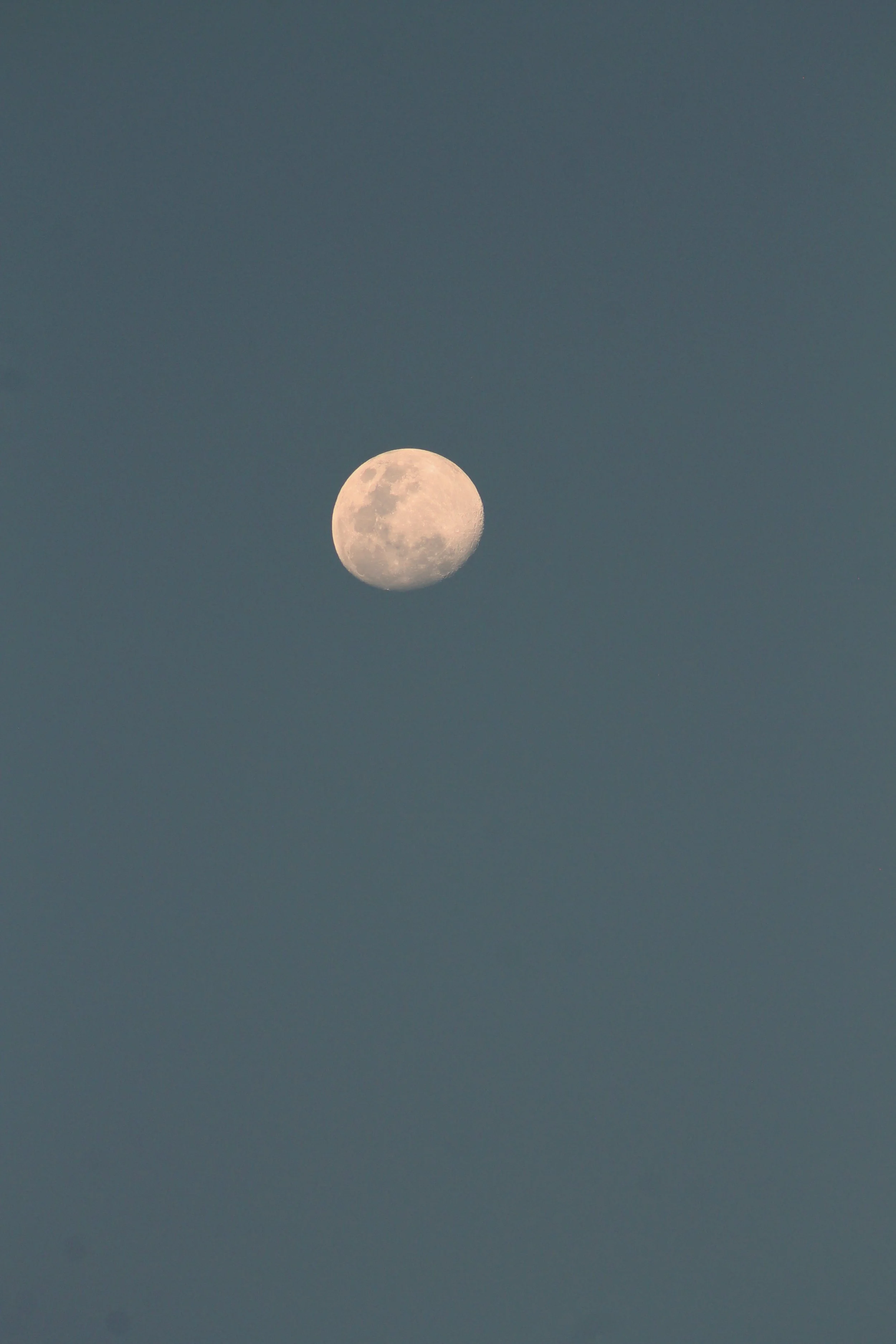 IMG_8793.JPG