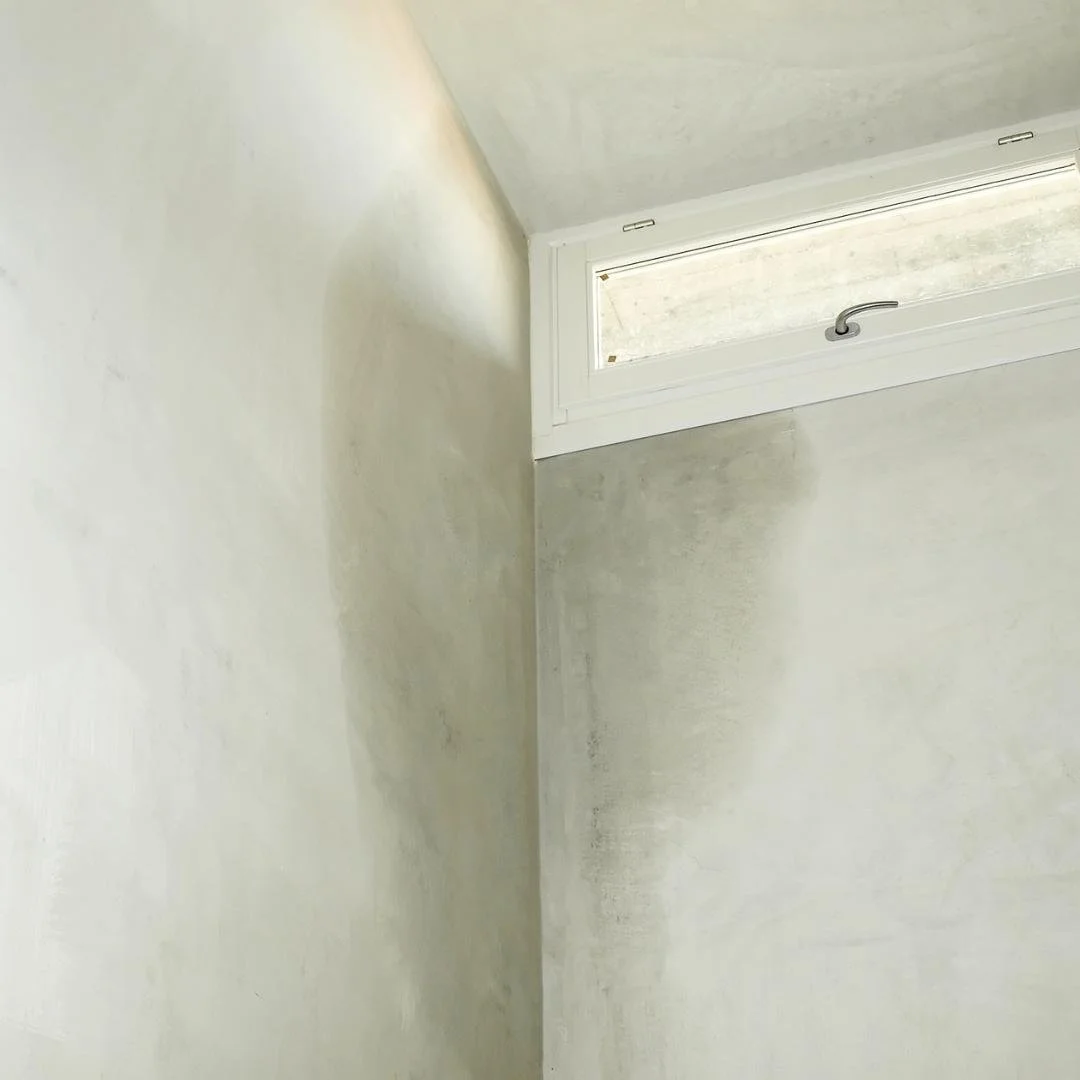 Should You Be Concerned About Mold When There Is a Moisture Issue