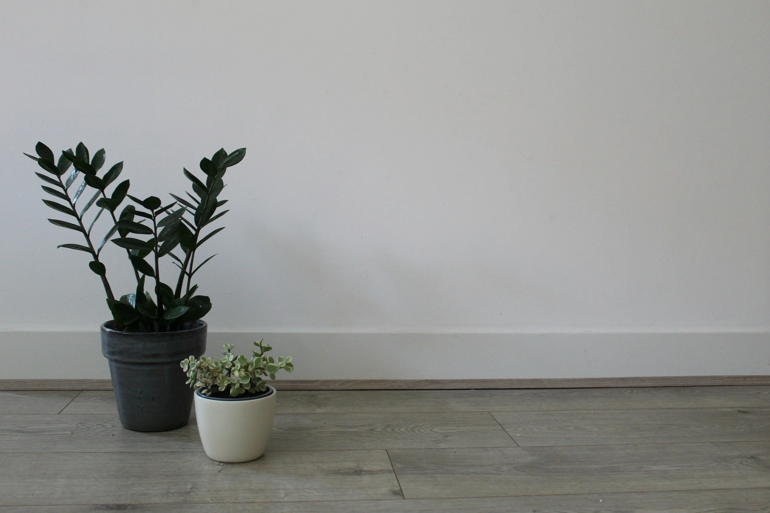 If You Change Your Flooring, What Happens to Your Baseboards and Paint