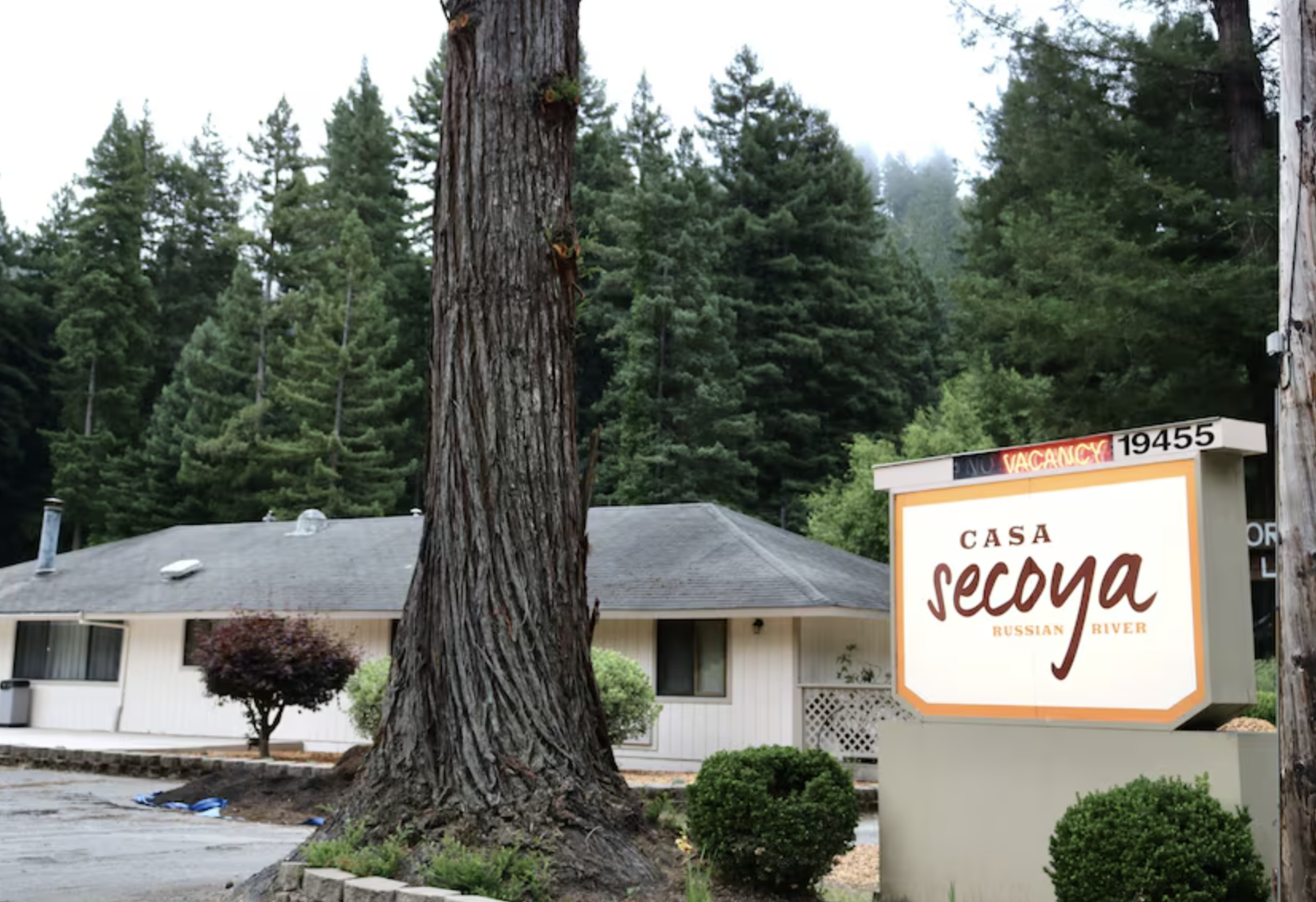 A building surrounded by tall pine trees with a sign that reads "Casa Secoya Russian River" and a neon sign above with the word "Vacancy".