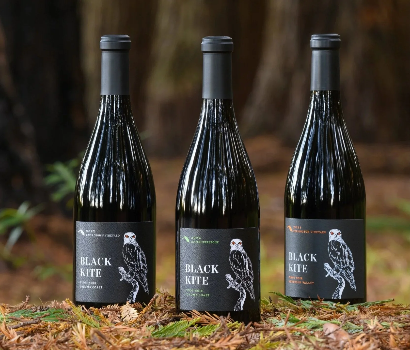 Three bottles of Black Kite Pinot Noir wine from Sonoma Coast and Anderson Valley, placed on fallen leaves with a blurred forest background.