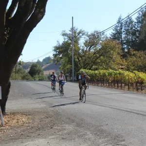 Three cyclists riding on a rural road surrounded by trees and hills.