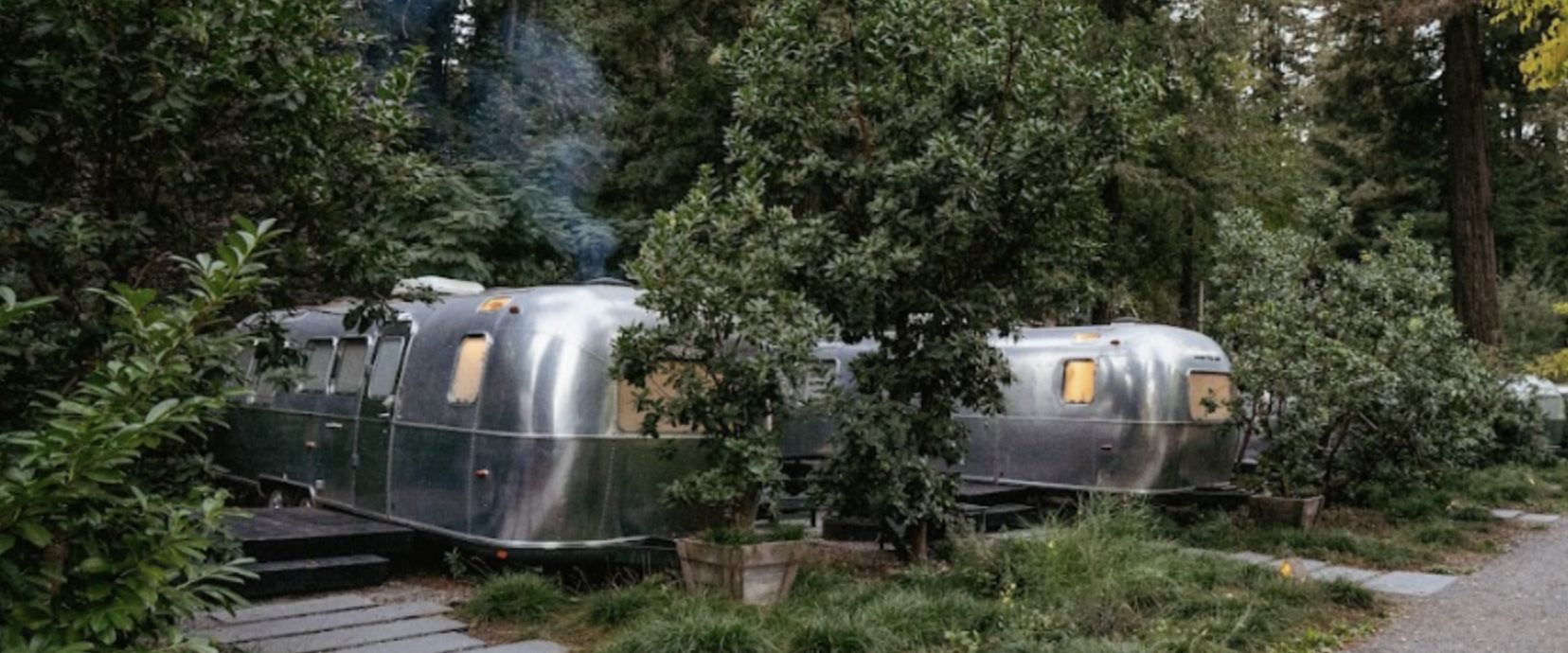 Silver vintage trailers parked among trees and greenery