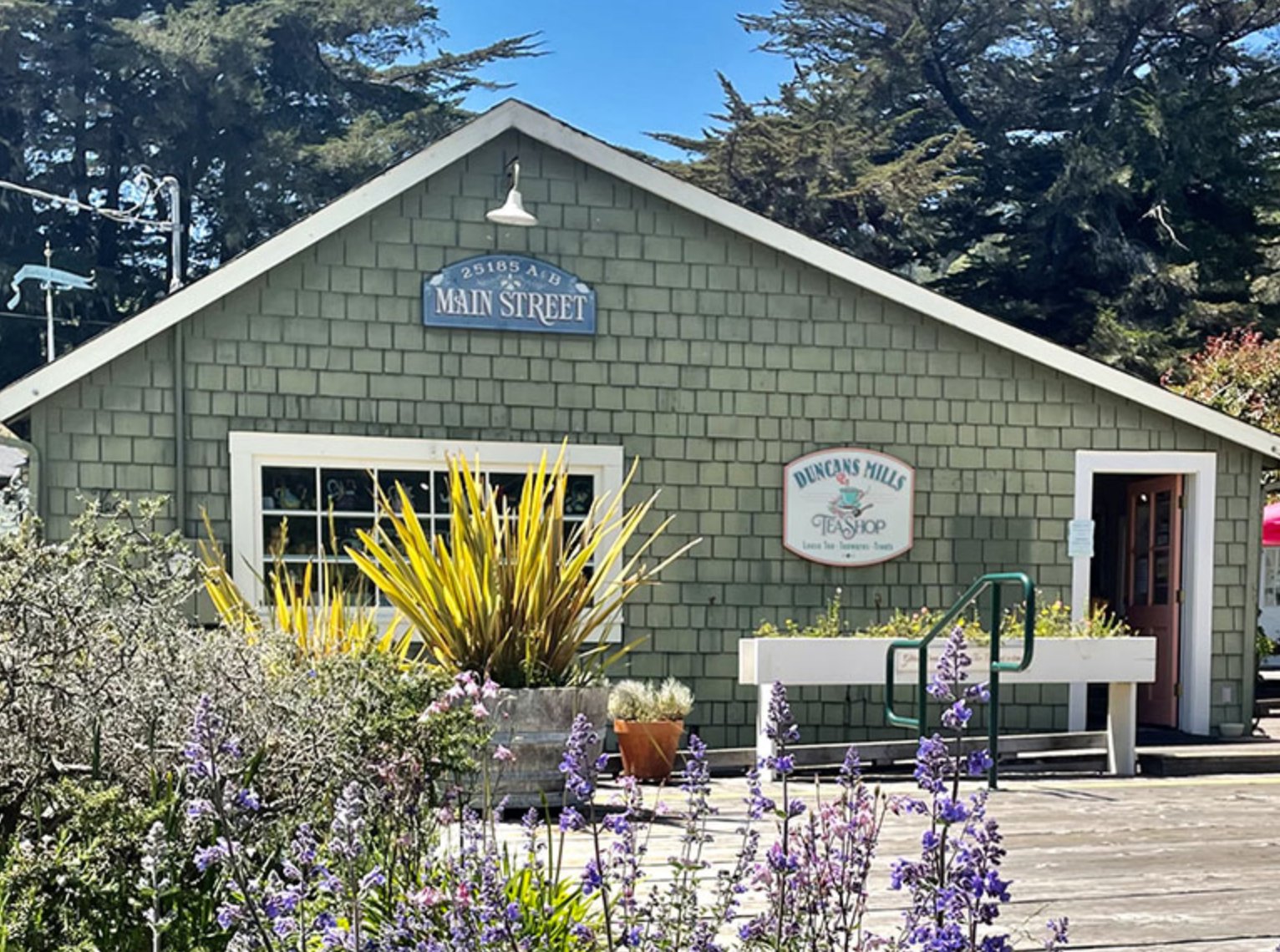 A small green building with a white trim, featuring a blue street sign reading 'Main Street' and a sign that says 'Duncan's Mills Tea Shop.' There are purple flowers and yellow ornamental grass in front, with a clear blue sky and tall trees in the background.