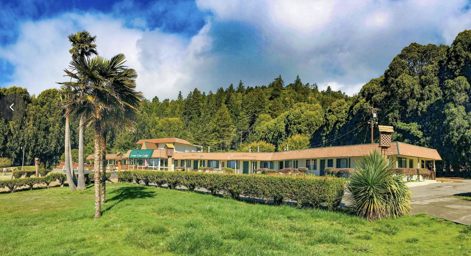 A building labeled Ocean Cove Lodge surrounded by green grass, palm trees, and a wooded hillside under a partly cloudy sky.