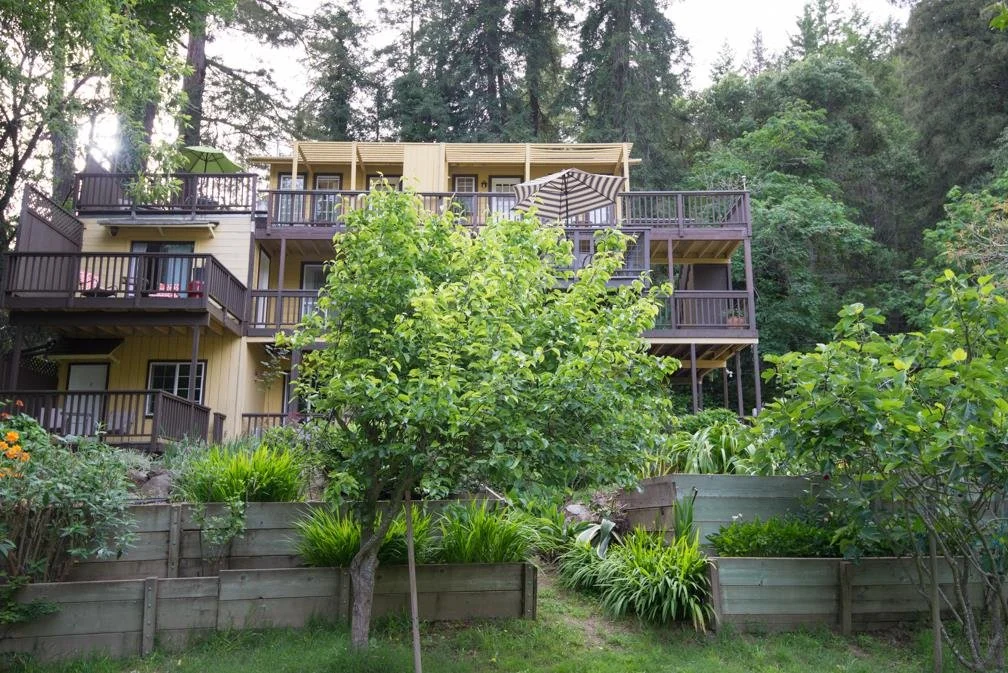 Yellow multi-story house with dark balconies in a wooded area, surrounded by green bushes and trees.
