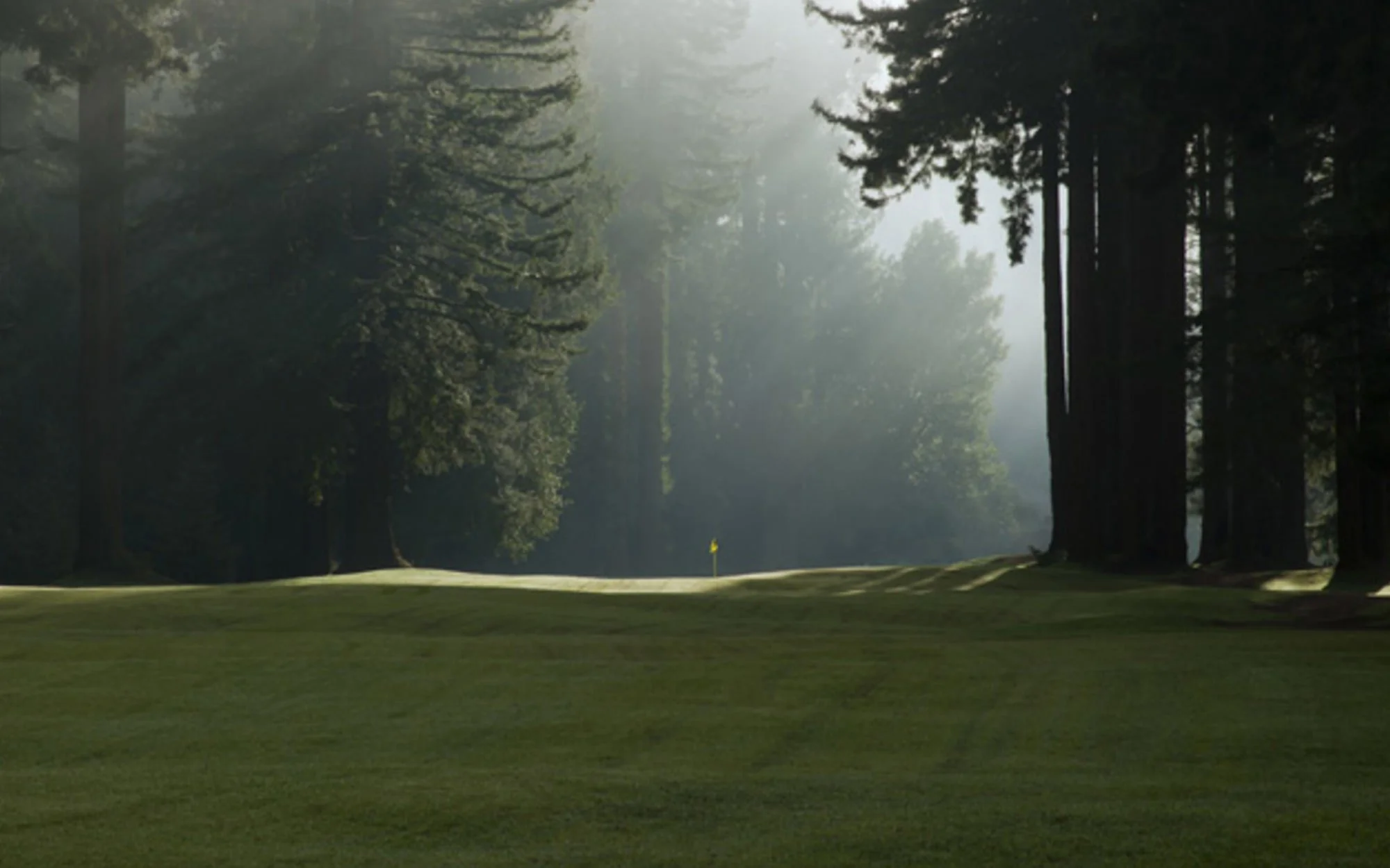 A serene and misty golf course surrounded by tall trees with a yellow flag on the green.