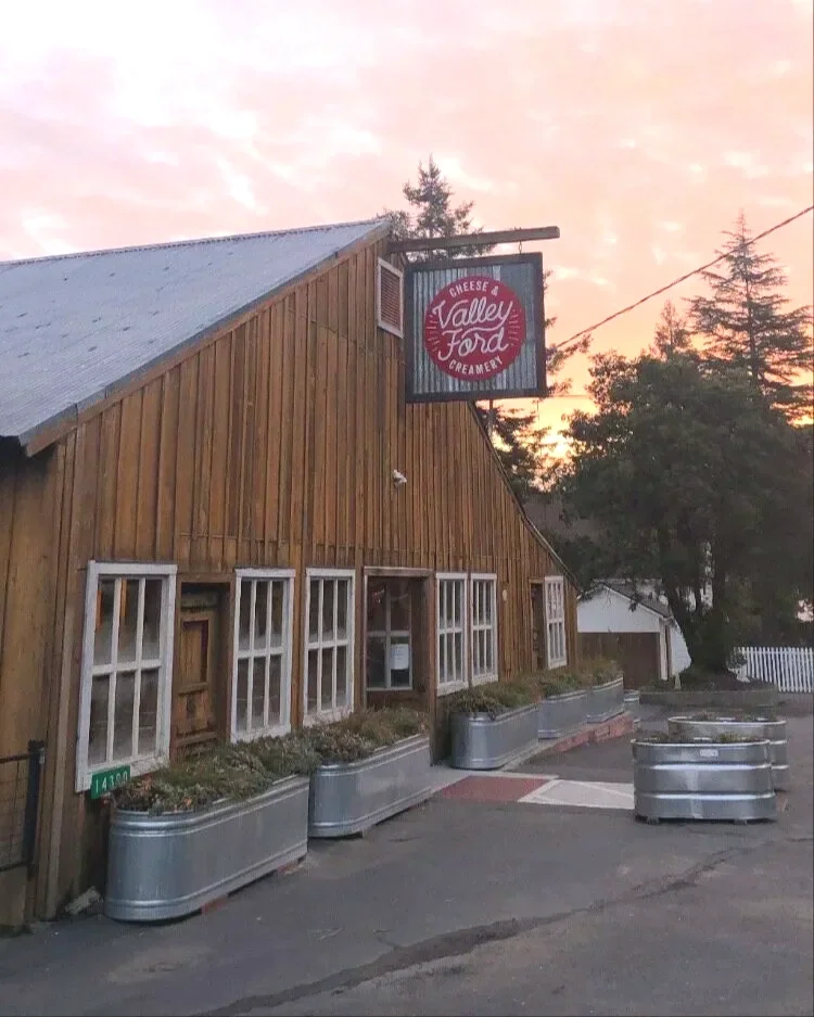 Wooden building with white window panes and a sign that reads "Valley Ford Cheese & Creamery" against a pink and orange sunset sky, with trees in the background and metal planters with plants along the building.