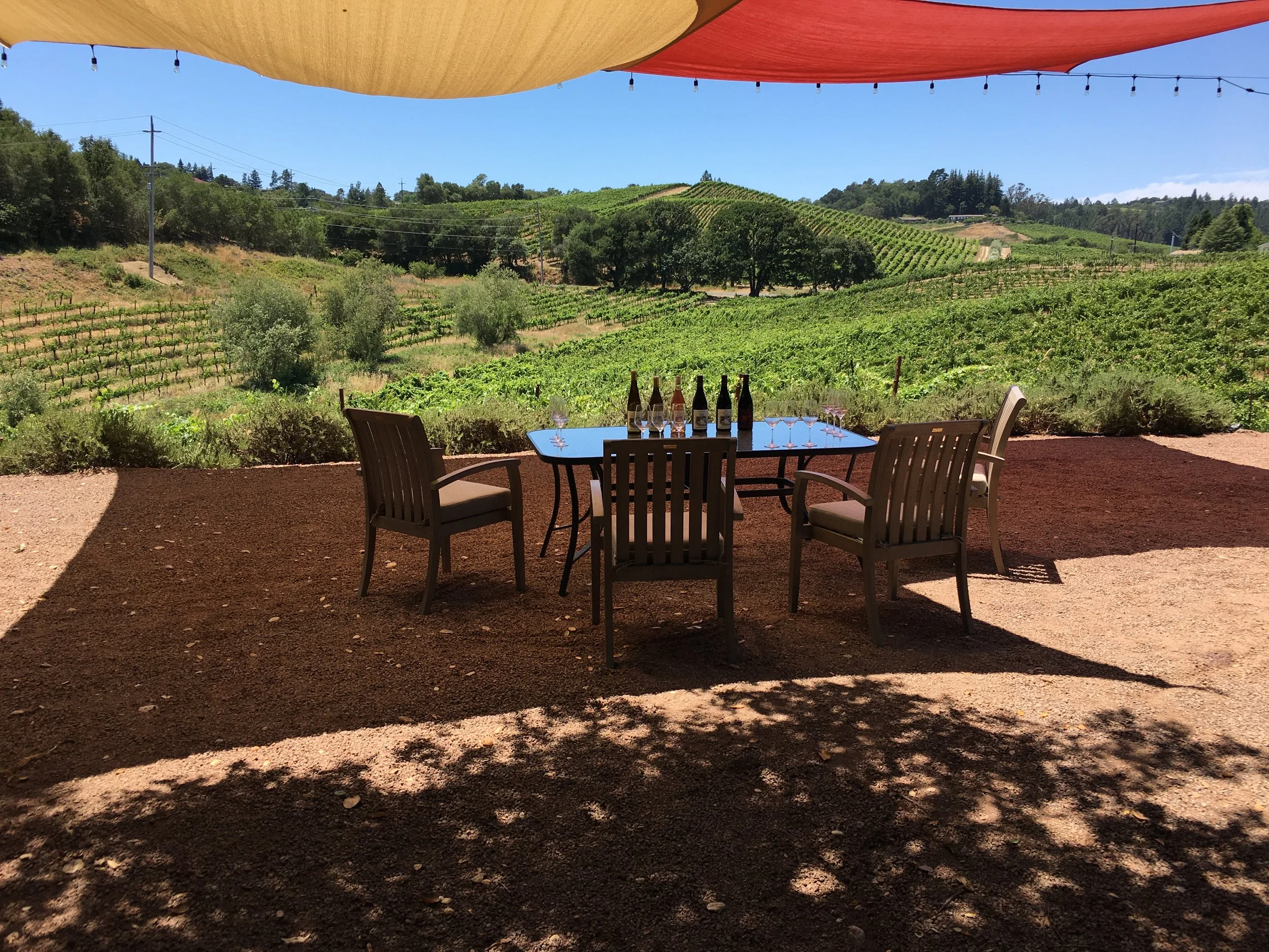 A patio table with several wine bottles and glasses set in front of a vineyard hillside, shaded by overhead fabric canopy on a sunny day.