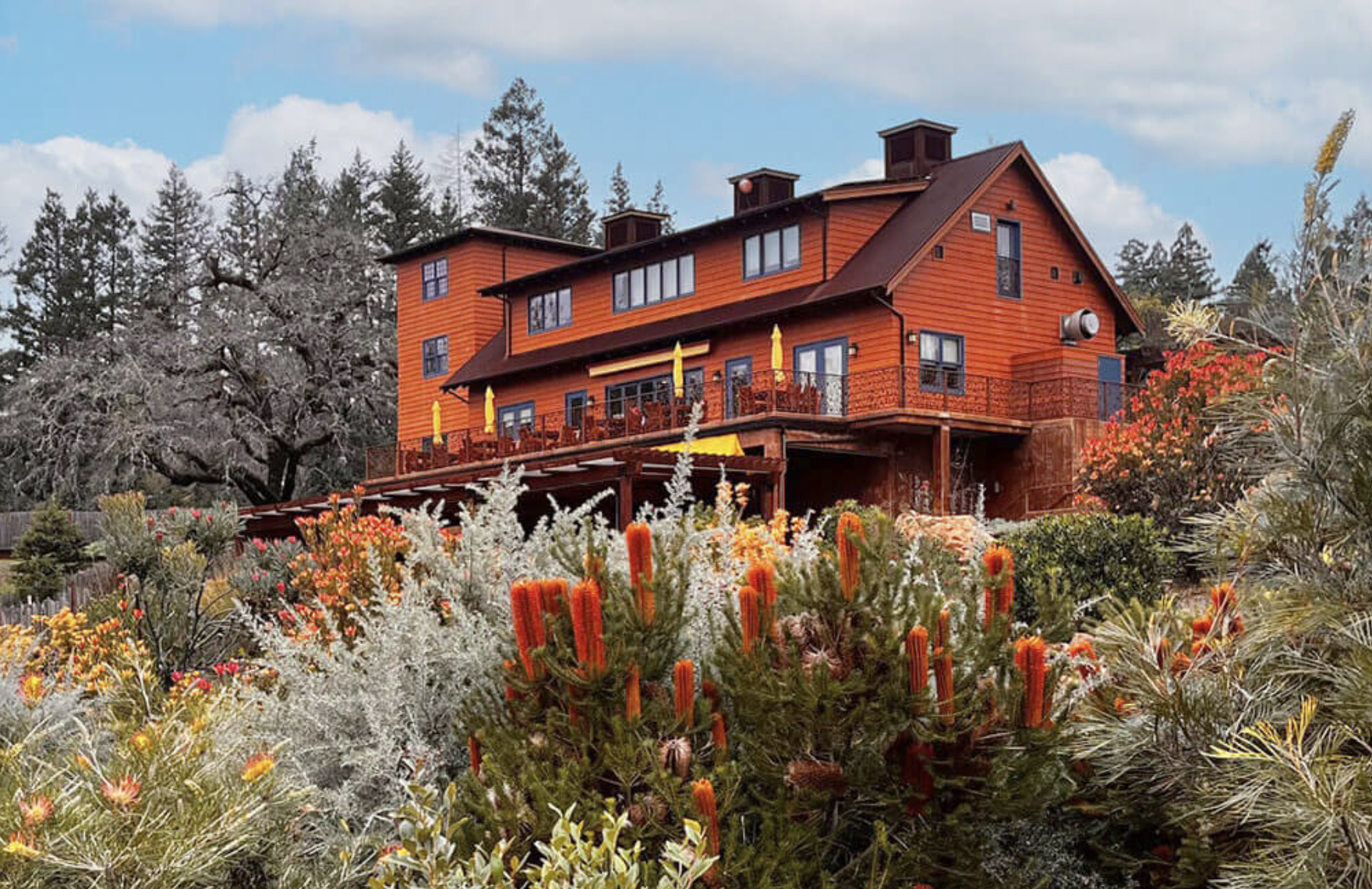 Red wooden house on a hill with a deck, surrounded by desert plants and trees, under a partly cloudy sky.