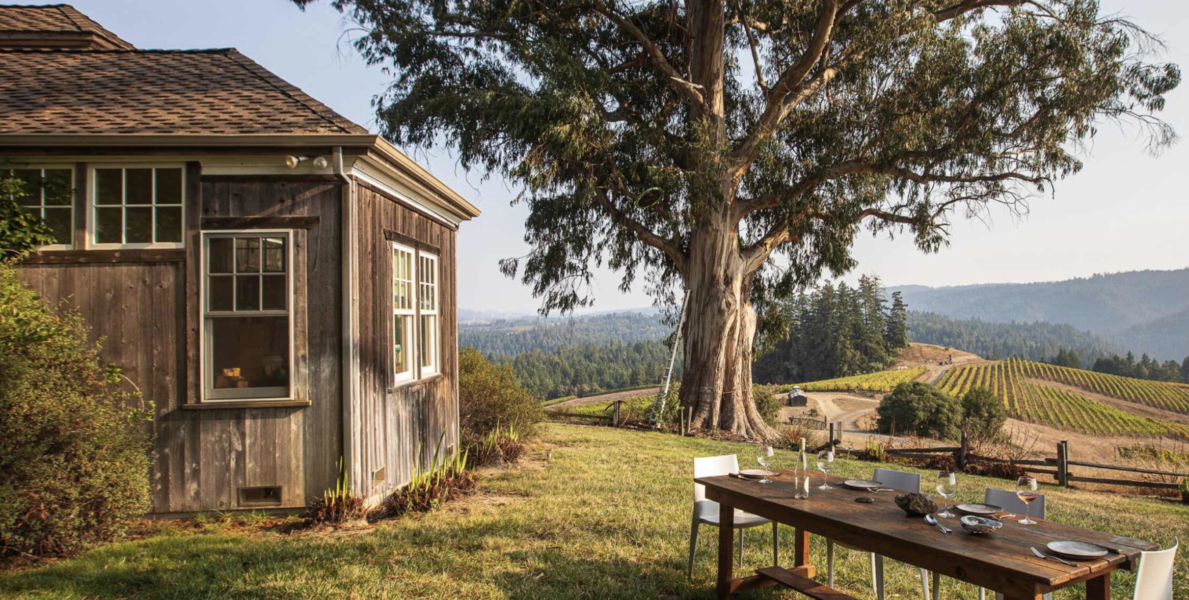 An outdoor dining setup with a wooden table and white chairs in a grassy area near a large tree, overlooking rolling hills and vineyards.