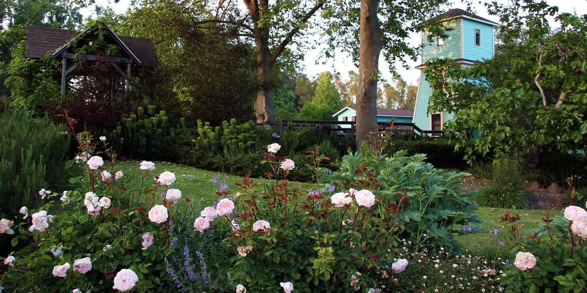 A lush garden with blooming pink roses, purple and white flowers, surrounded by trees and greenery, with a small blue house in the background.