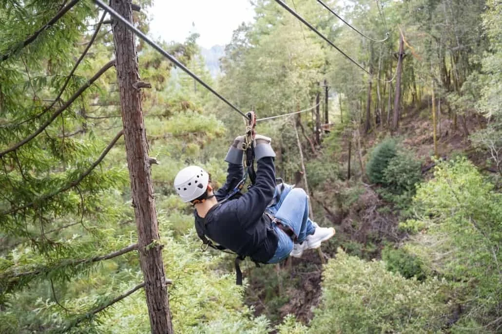 Person ziplining through a forested area with green trees and a canyon below.