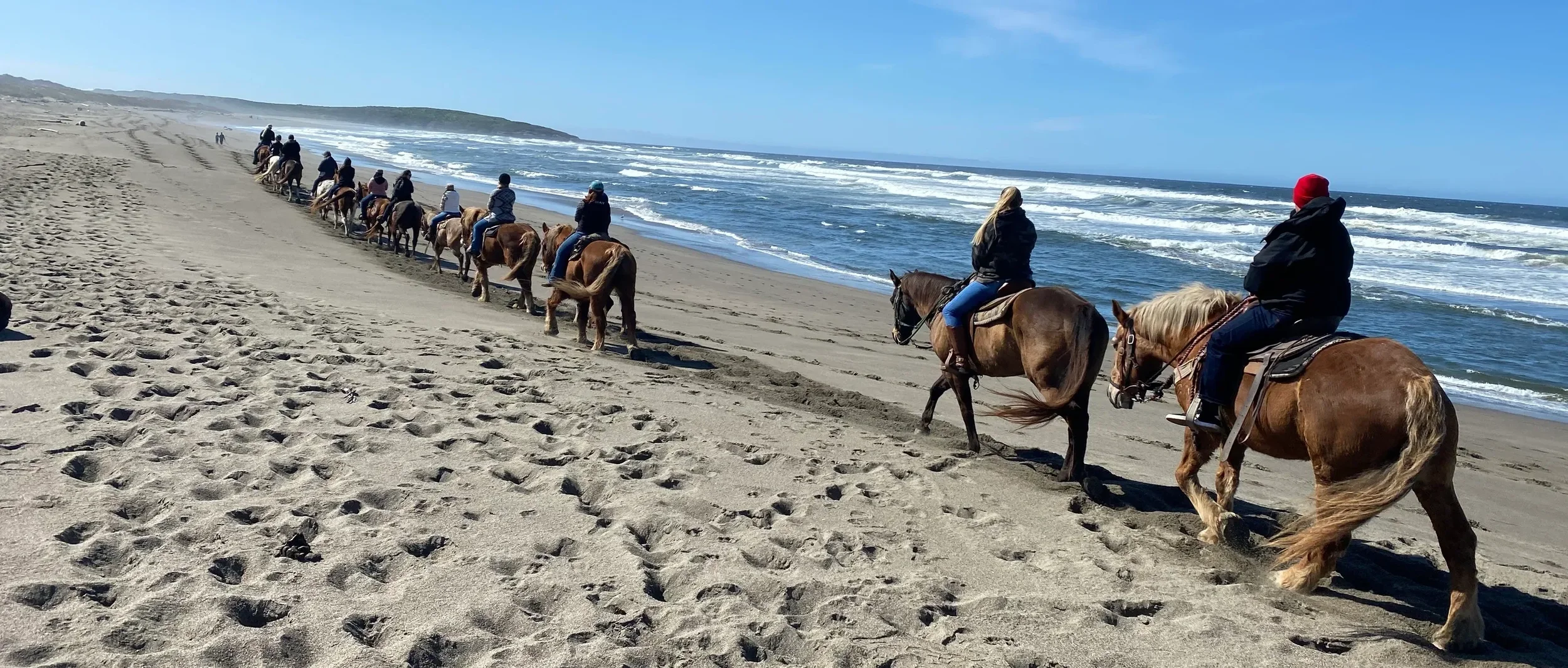 People riding horses along a sandy beach with ocean waves and a clear sky.