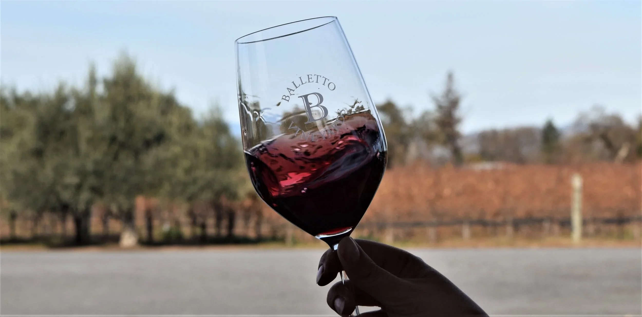 Close-up of a hand holding a wine glass with red wine against a blurry outdoor background of trees and sky.