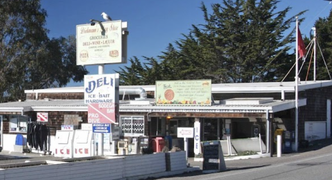 A seaside convenience store with signs advertising groceries, wine, liquor, ice, bait, hardware, and scuba diving. There are flags and trees in the background, and a seagull perched on a sign.