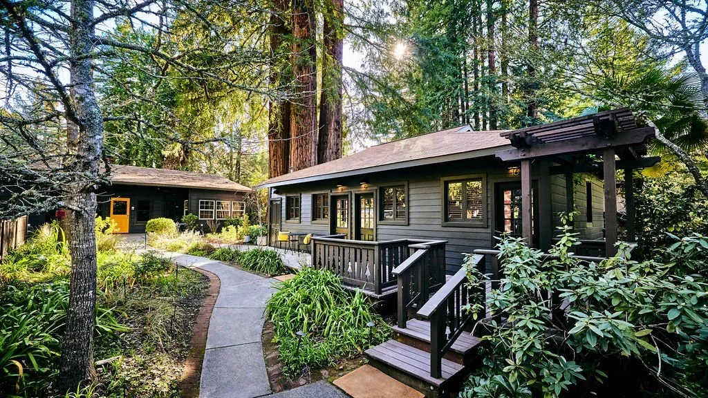 Two wooden houses in a lush forest with a winding pathway, greenery, and tall trees.