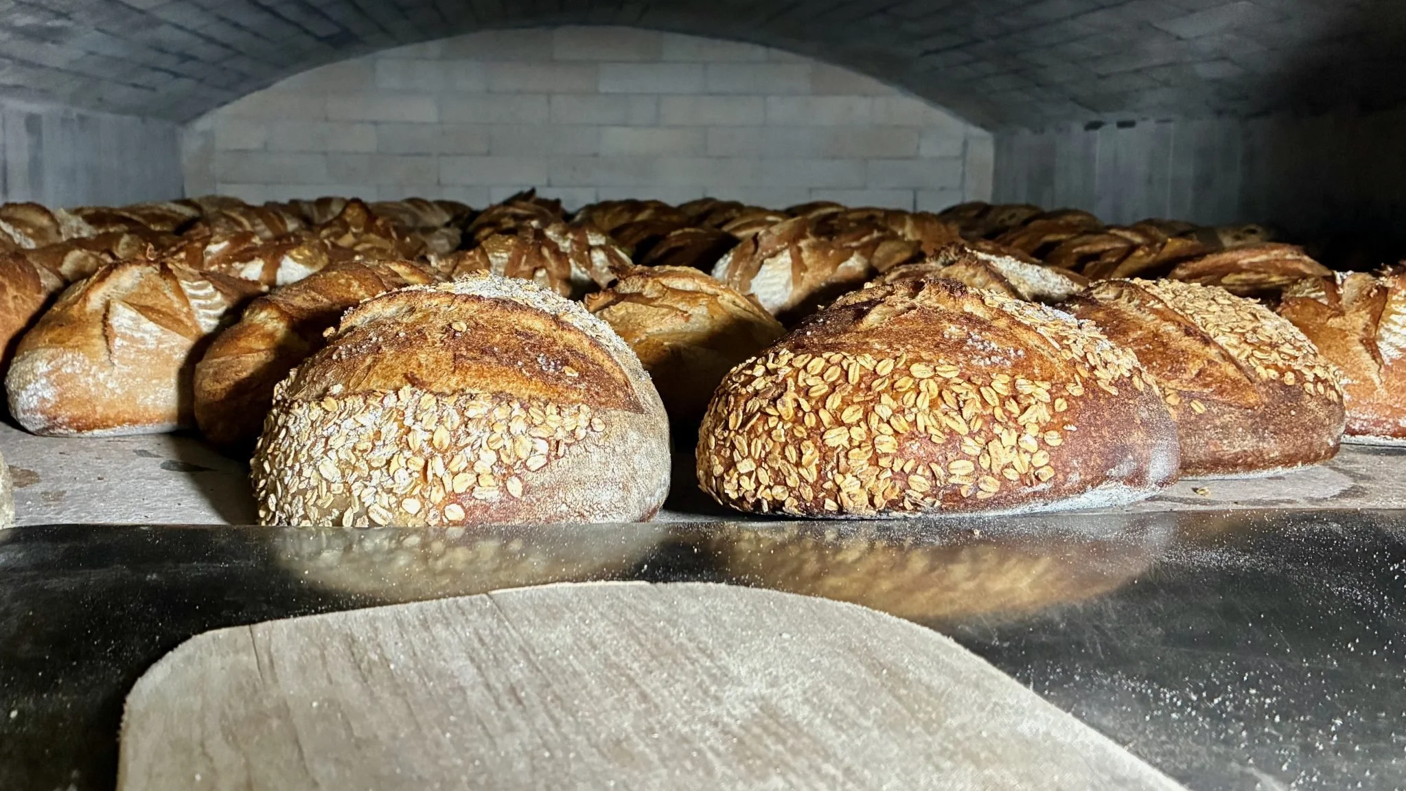 Freshly baked bread with some topped with oats, placed inside an oven