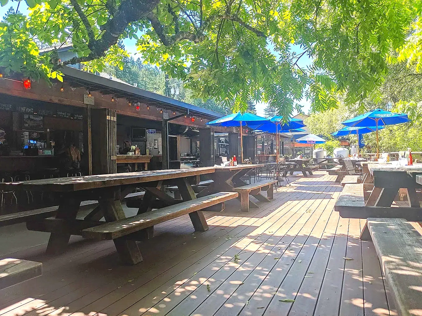 An outdoor patio area with wooden picnic tables and blue umbrellas, shaded by trees, next to a building with windows and string lights.