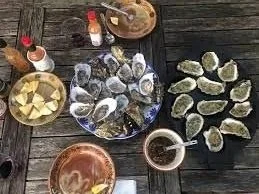 Assorted raw oysters on a wooden table with lemon wedges, sauces, and condiments.