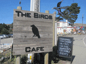 Sign for The Birds Cafe with a silhouette of a bird on the wooden board, and nearby smaller chalkboard menu outside.