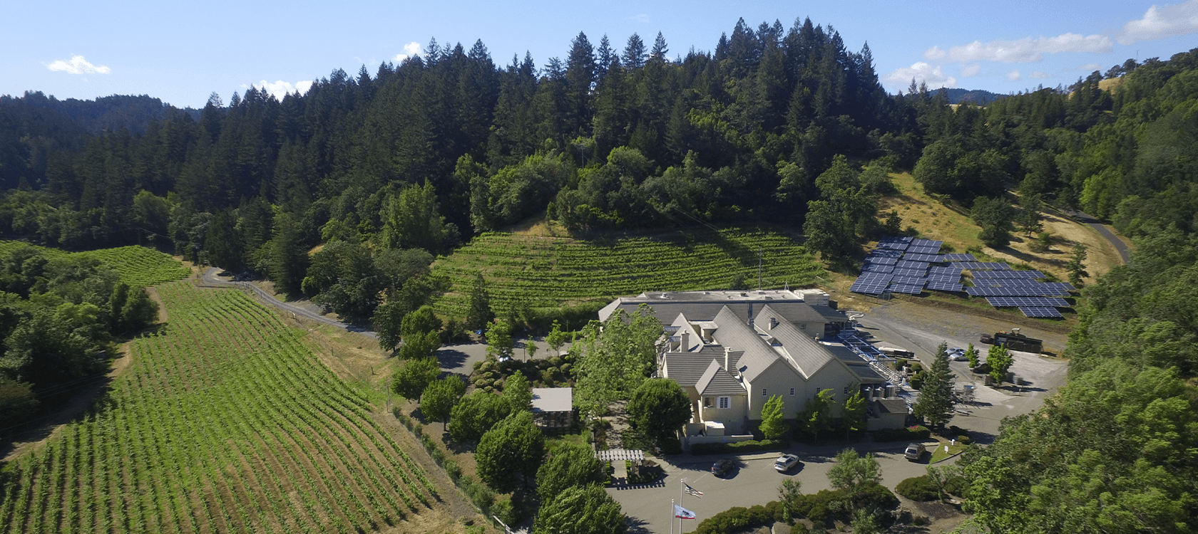 A large building with gray roofs surrounded by green trees, vineyards, and hills covered in forest, with solar panels on the hillside.