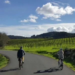 Two people riding bicycles on a paved road through a lush green valley with vineyards, under a partly cloudy sky.