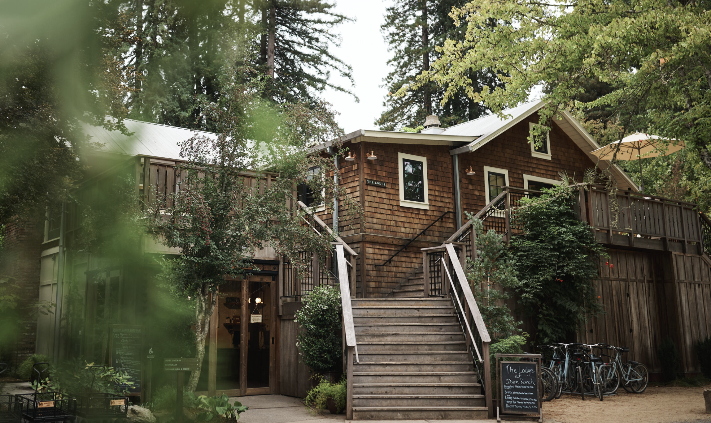A rustic wooden lodge surrounded by greenery, with a staircase leading to an upper deck, bicycles parked to the side, and a chalkboard sign outside.