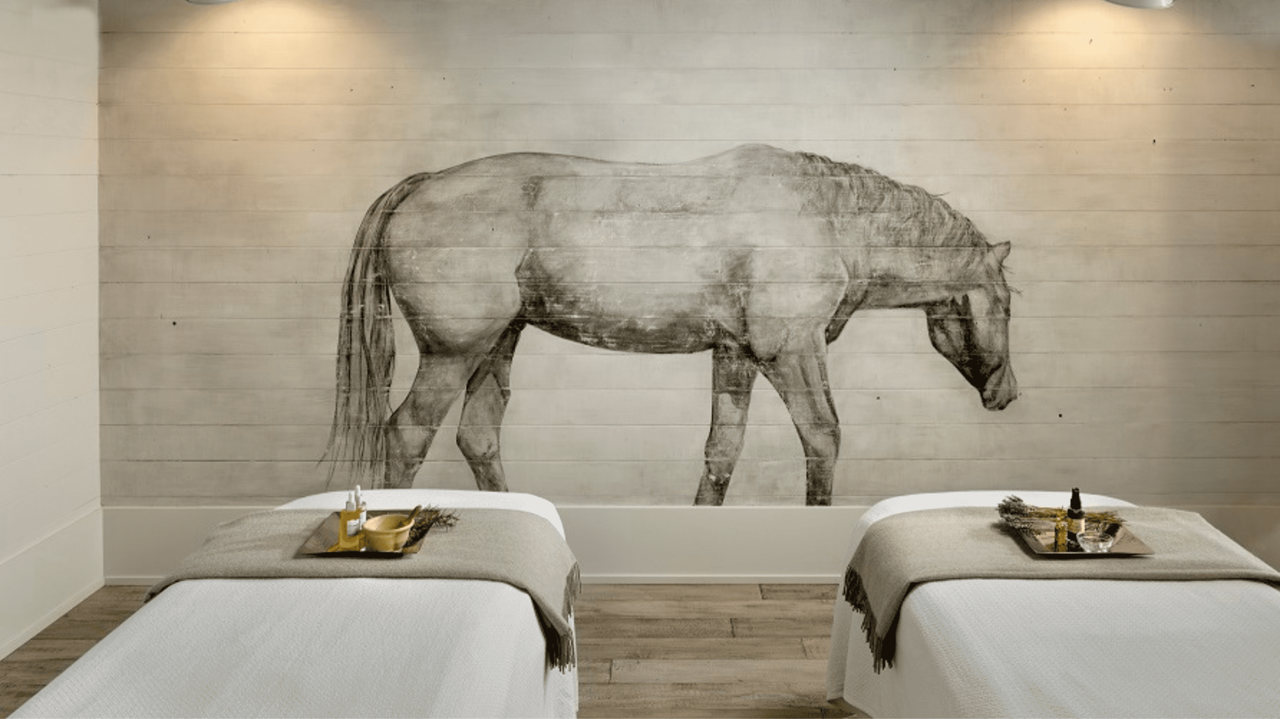 A mural of a gray horse on a wooden wall in a spa room with two massage beds and trays of wellness products.