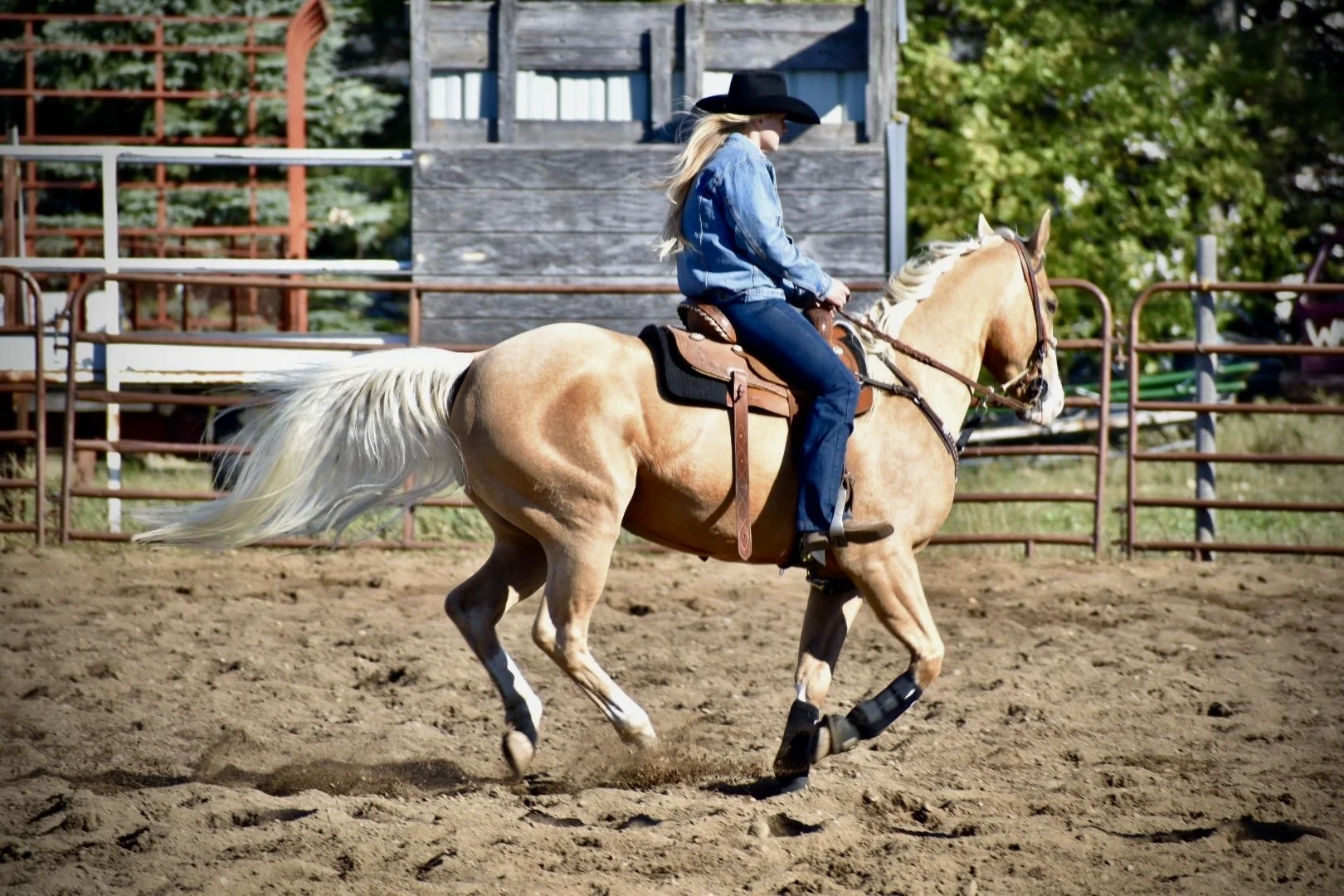 A woman wearing a black cowboy hat, denim shirt, and jeans riding a light-colored horse with a white mane in an outdoor rodeo or riding arena surrounded by metal fencing.