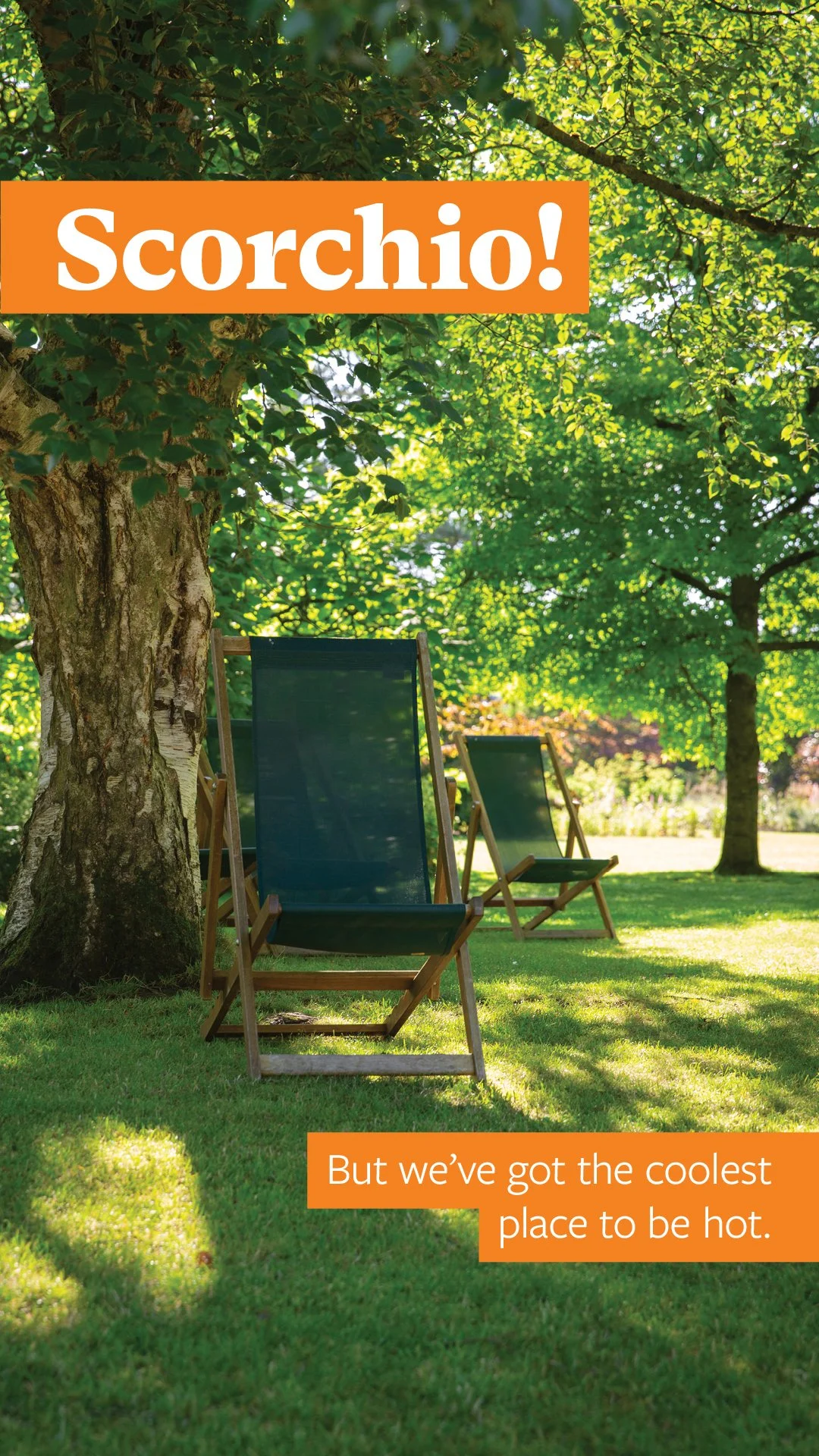 2575974_Heatwave_Gardens_9x16_HC_Scorchio.jpg