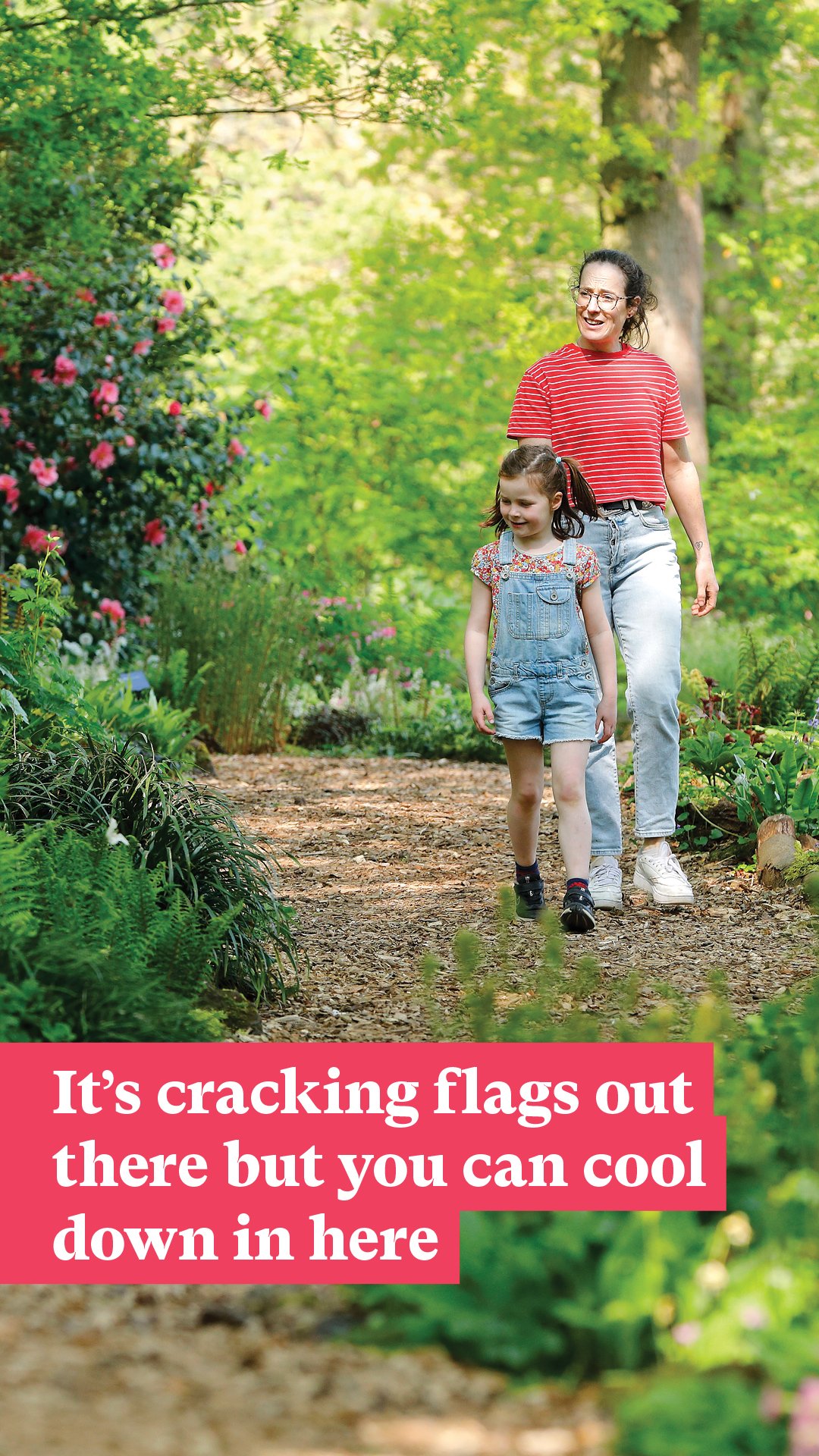 2575974_Heatwave_Gardens_9x16_HC_CrackingFlags.jpg