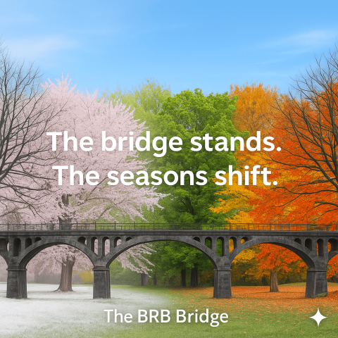 Bridging the Seasons of Change: How Strong Systems Steady the Work
