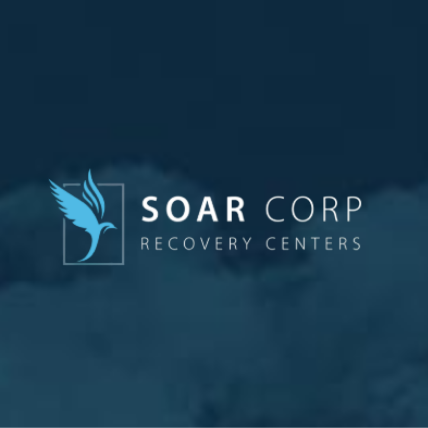 SOAR+logo.png