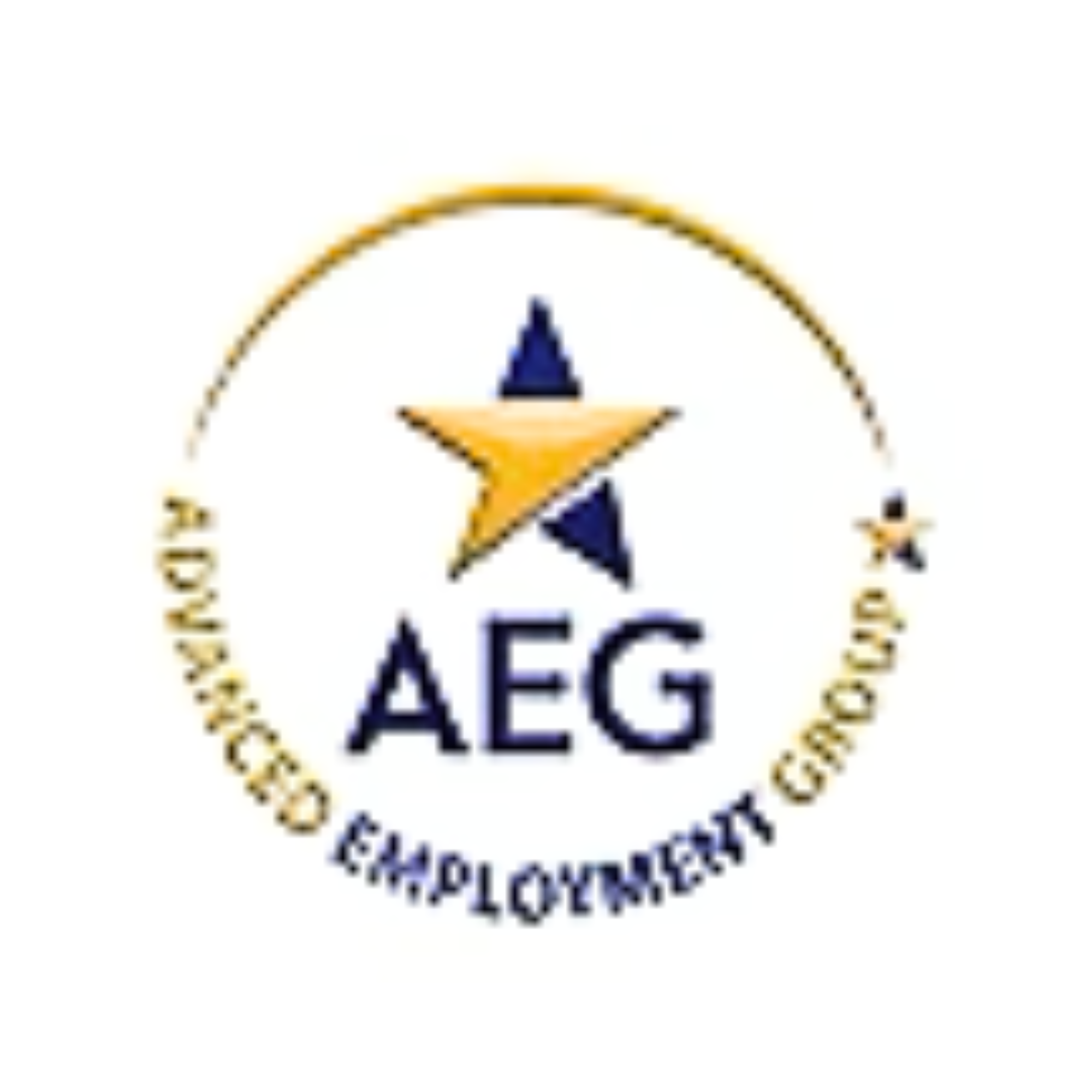 Advanced Employment Group.png