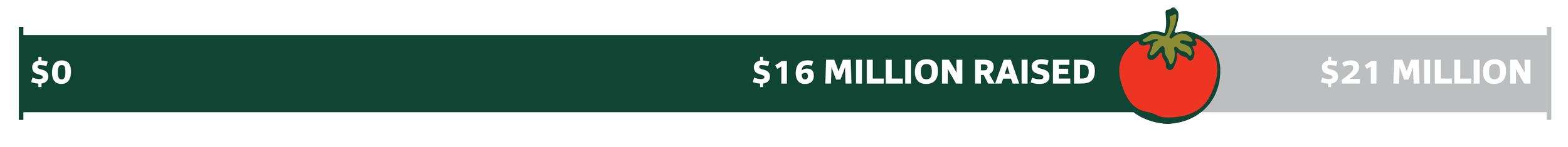 A progress bar showing fundraising funds from $0 to $21 million, with $16 million raised; a small illustration of a red tomato with green stem on the right.