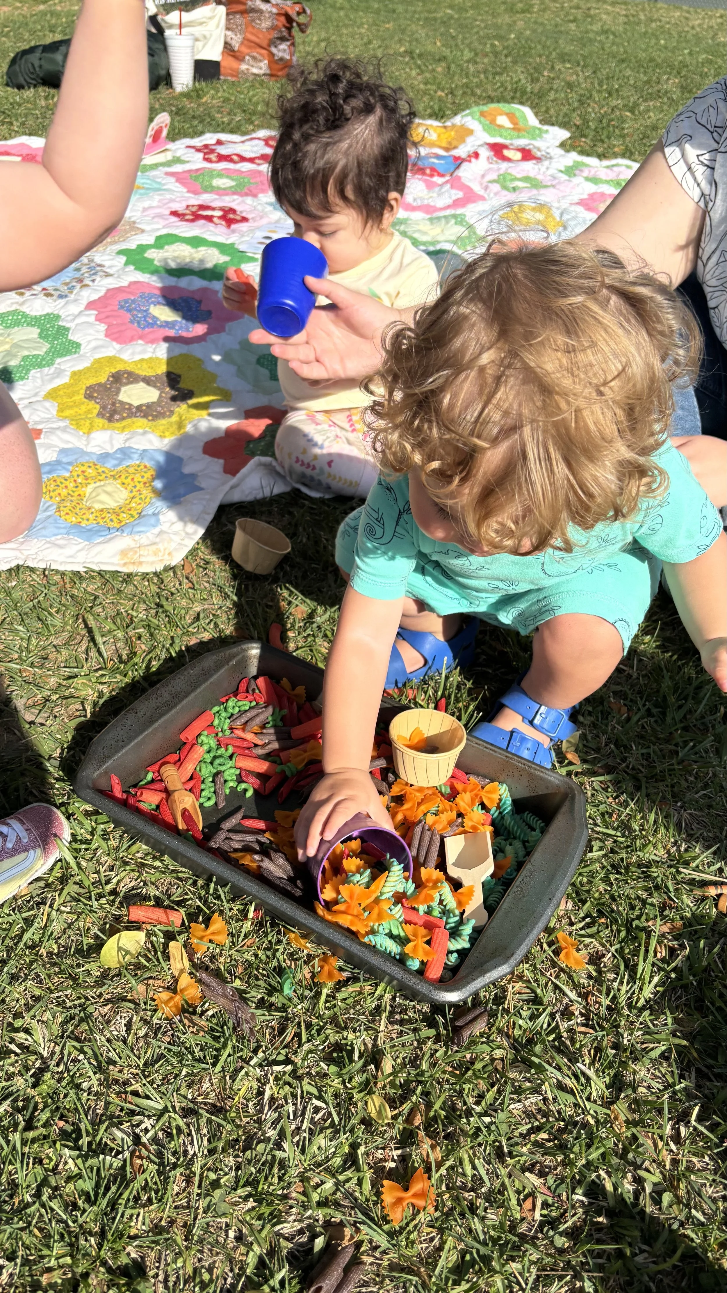 New Class: Little Sprouts