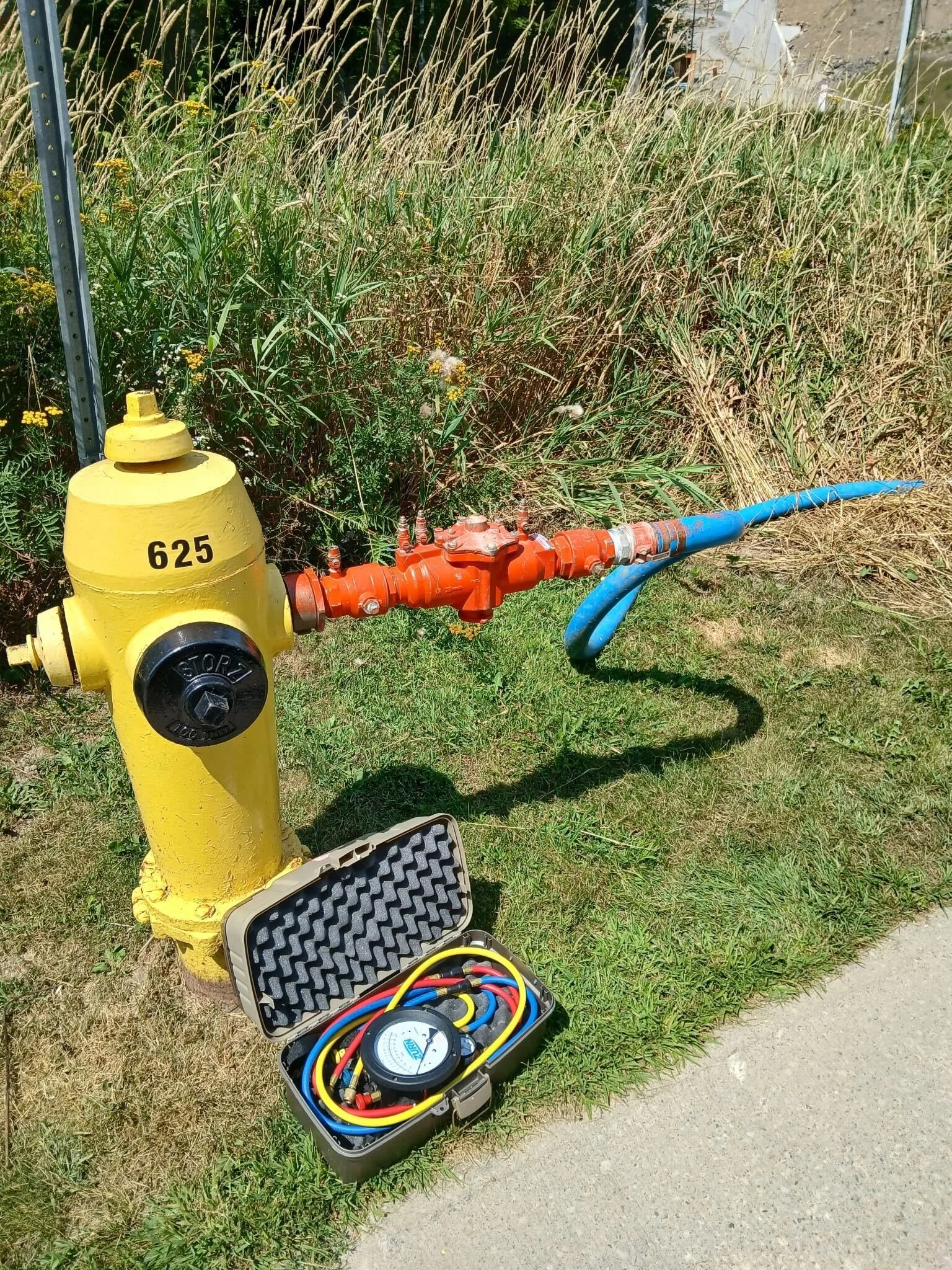 A yellow fire hydrant with a red valve attached, connected to blue and red hoses. An open toolbox with a multimeter and measuring tools is on the grass nearby. Tall grass and weeds grow behind the hydrant, with some weeds flowering yellow. A concrete