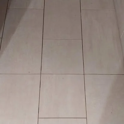 480151171_1165459495273975_1343393499301181582_n.jpg