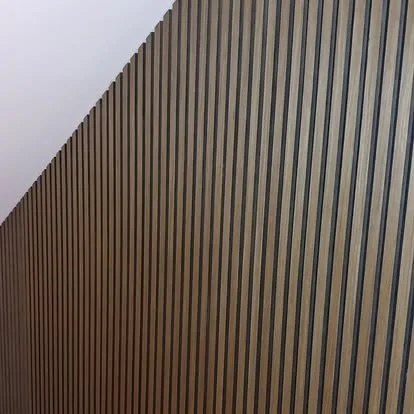 541732283_1316502426836347_226285337075029764_n.jpg