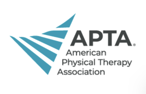 Logo of the American Physical Therapy Association featuring a stylized abstract blue shape with the initials APTA and the full name underneath.