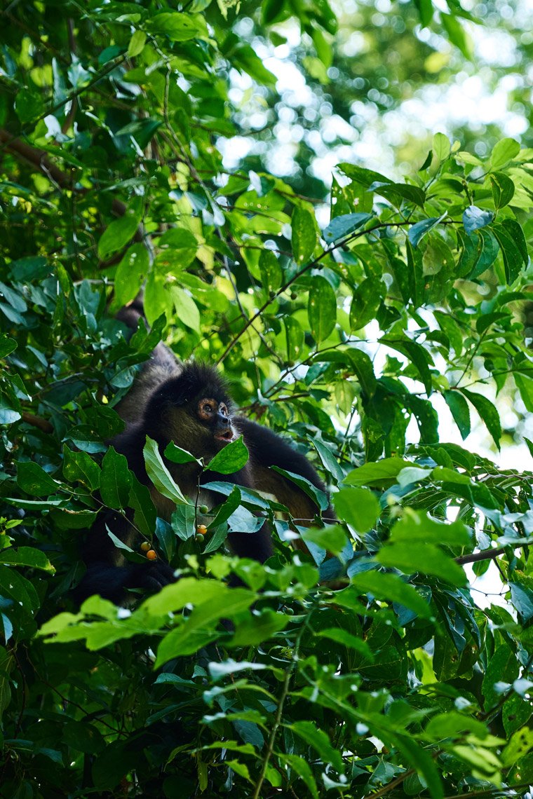 Espejo_Guatemala_103-HD.jpg