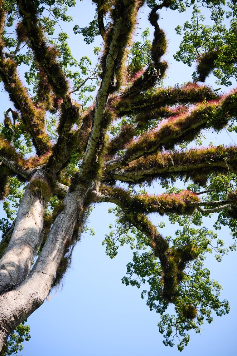 Espejo_Guatemala_106-HD.jpg