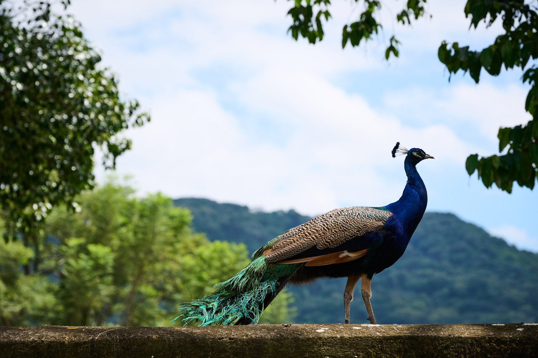 Espejo_Guatemala_023.jpg